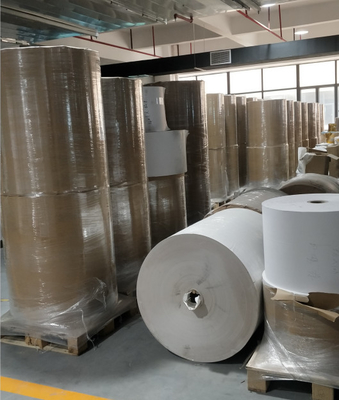 OEM 80G A4 Paper Jumbo Roll Customization Size